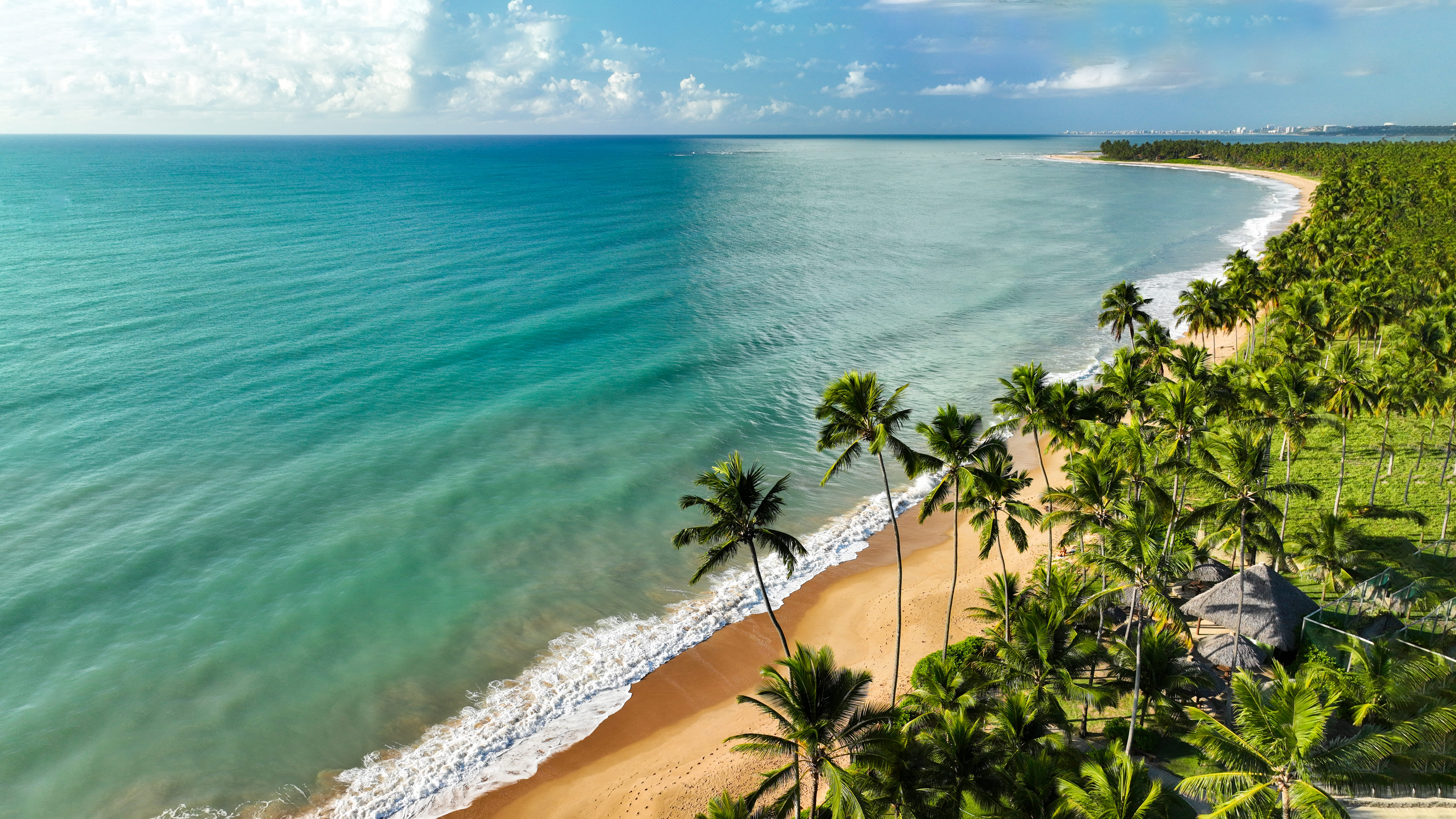 Praia de Ipioca, em Maceió, com imenso azul do mar, faixa de areia branca banhada pelas ondas e faixa de coqueiros.