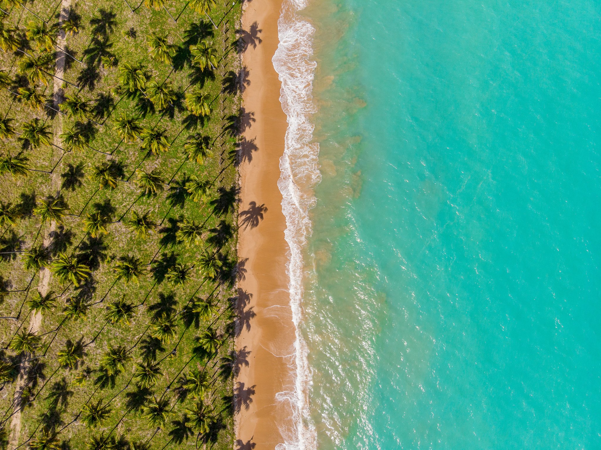 Vista aérea da praia de Ipioca mostra coqueirais, fina faixa de areia branca e mar azul turquesa na praia de Ipioca.