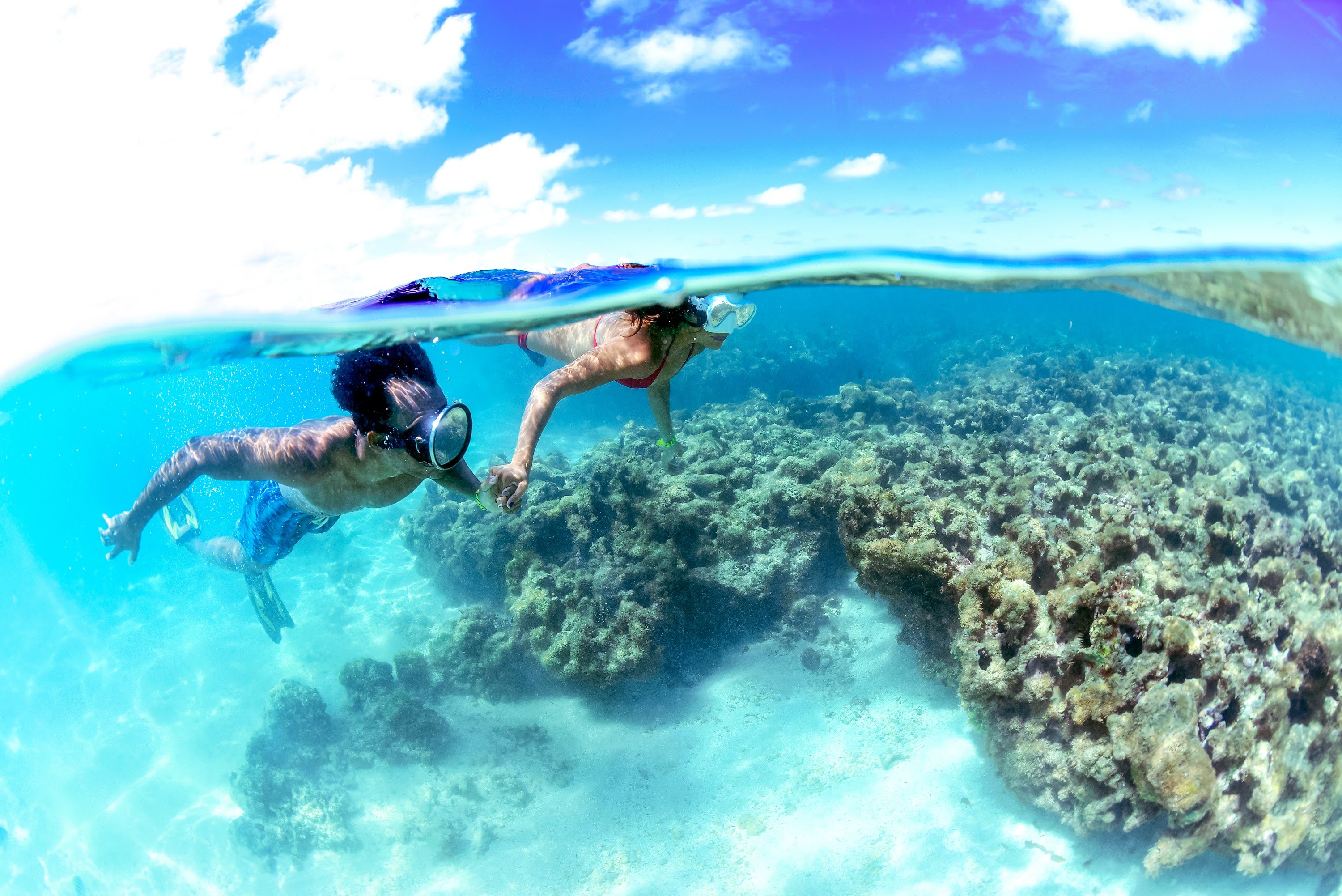 Casal praticando mergulho de snorkel em piscinas naturais de Maragogi.