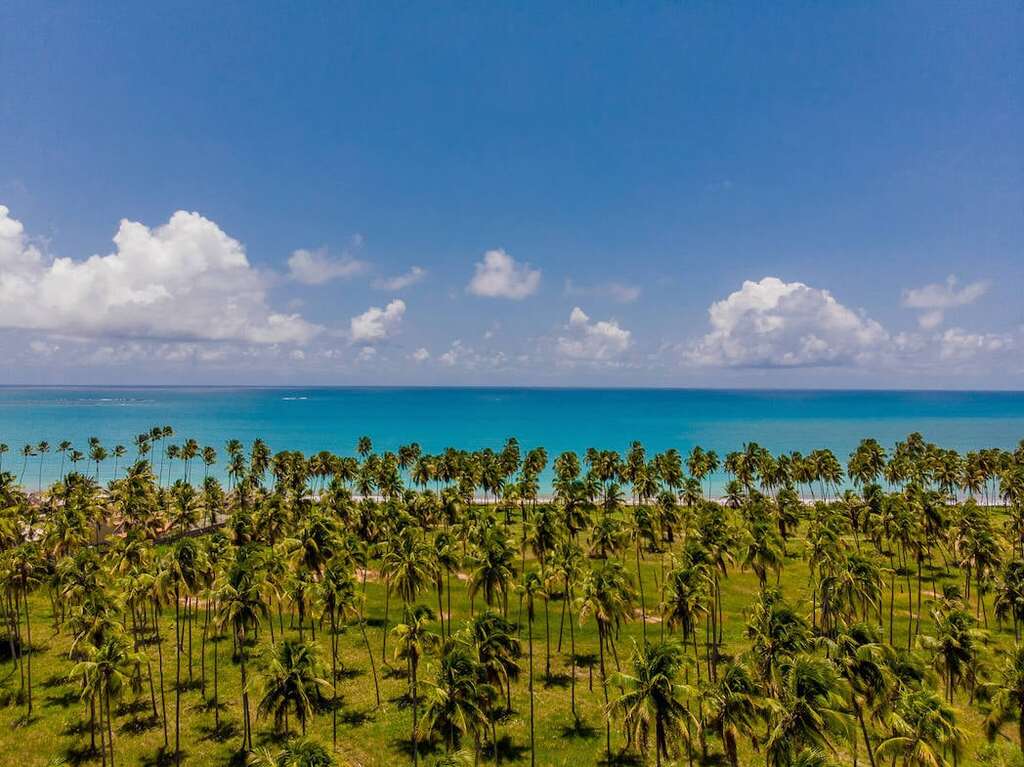 praia em Maceió