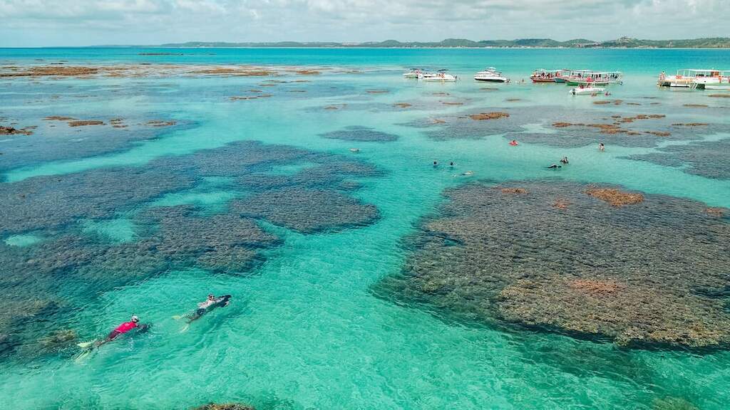 piscina natural de Maragogi, o melhor lugar para mergulhar no Brasil