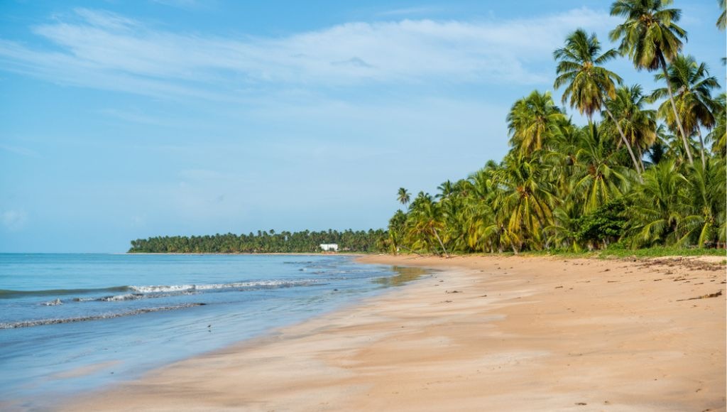 praia de Japaratinga, uma das melhores cidades de Alagoas para visitar